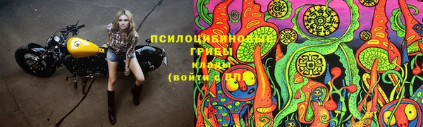 прущие грибы Балахна