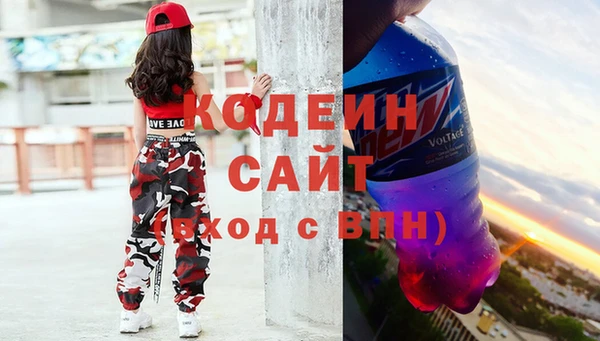 прущие грибы Балахна