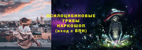 прущие грибы Балахна