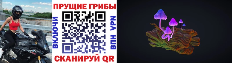 Псилоцибиновые грибы Psilocybe  как найти закладки  omg tor  Ливны 